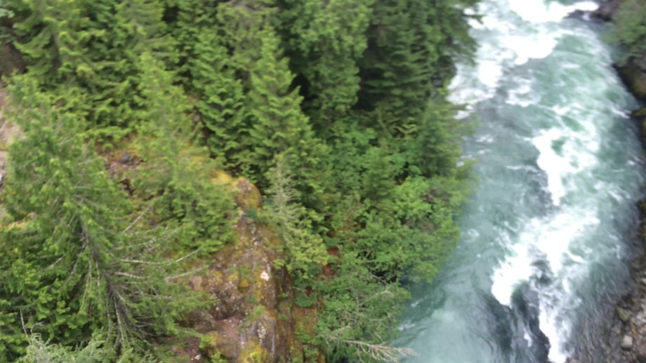 Whistler Bungee Jump